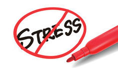 Avoid Being Stressed for Midterms: Heres How.